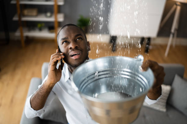 Best Water damage restoration specialists  in USA